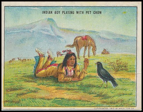 Indian Boy Playing With Pet Crow